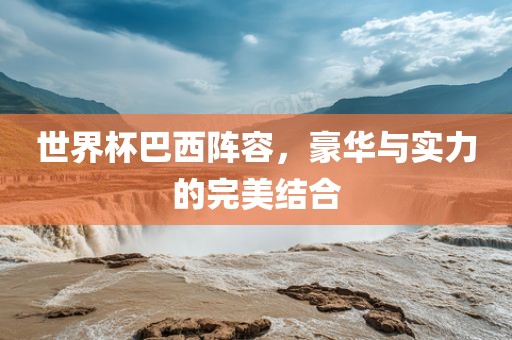 广州鸿业环保设备有限公司世界杯巴西阵容，豪华与实力的完美结合