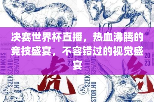 决赛世界杯直播，热血沸腾的竞技盛宴，不容错过的视觉盛宴