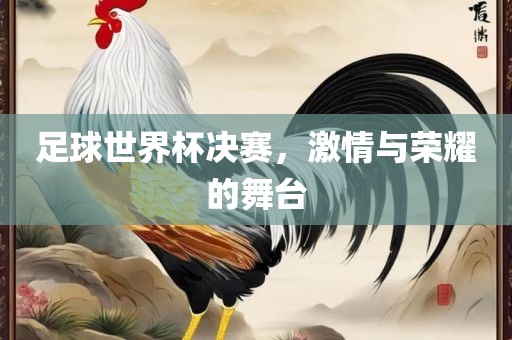 足球世界杯决赛，激情与荣耀的舞台