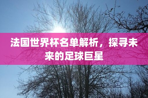 法国世界杯名单解析，探寻未来的足球巨星