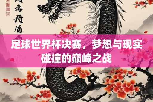 足球世界杯决赛，梦想与现实碰撞的巅峰之战