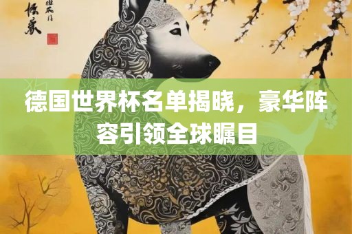 德国世界杯名单揭晓，豪华阵容引领全球瞩目