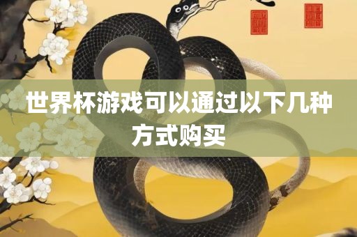 世界杯游戏可以通过以下几种方式购买