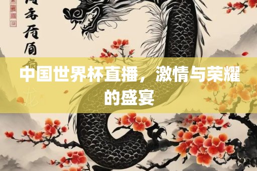 中国世界杯直播，激情与荣耀的盛宴广州鸿业环保设备有限公司
