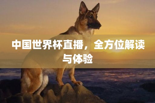 中国世界杯直播，全方位解读与体验广州鸿业环保设备有限公司