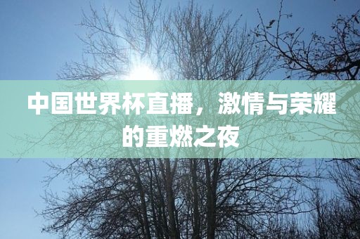 中国世界杯直播，激情与荣耀的重燃之夜广州鸿业环保设备有限公司