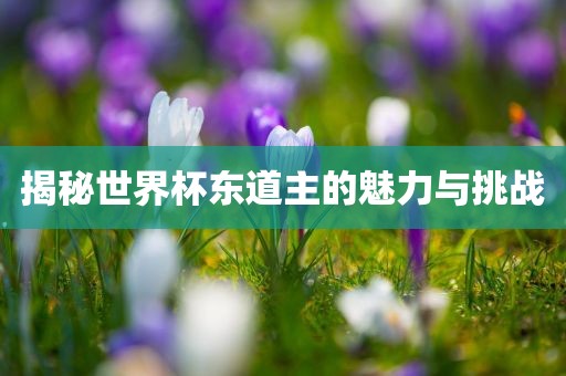 揭秘世界杯东道主的魅力与挑战