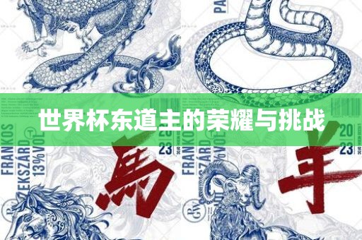 世界杯东道主的荣耀与挑战