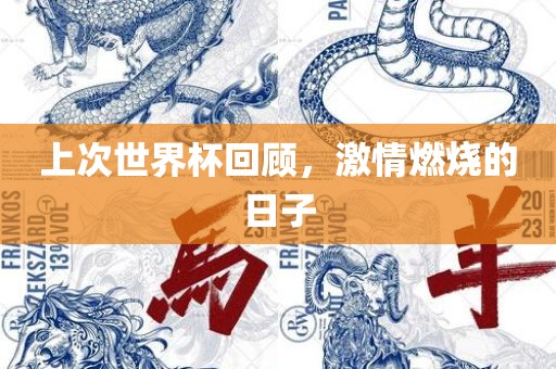 上次世界杯回顾，激情燃烧的日子