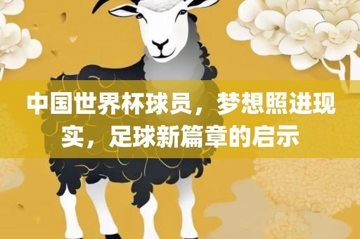 中国世界杯球员，梦想照进现实，足球新篇章的启示