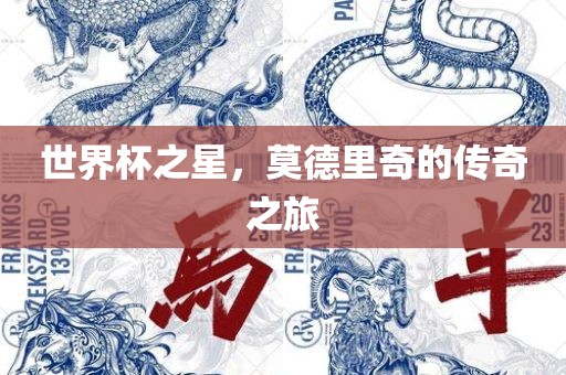 世界杯之星，莫德里奇的传奇之旅