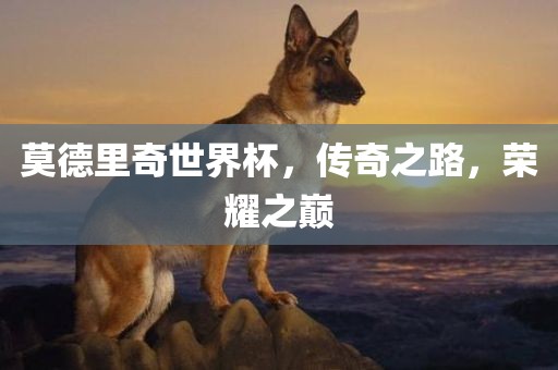莫德里奇世界杯，传奇之路，荣耀之巅