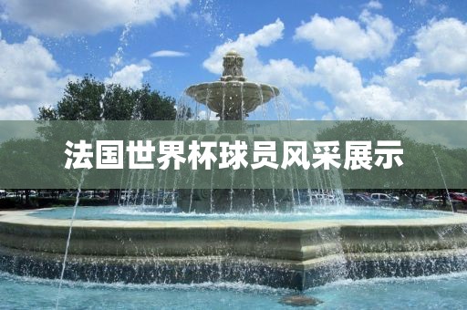 法国世界杯球员风采展示