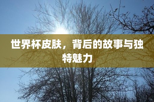世界杯皮肤，背后的故事与独特魅力