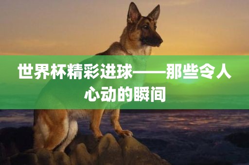世界杯精彩进球——那些令人心动的瞬间