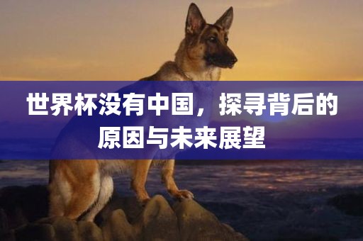 世界杯没有中国，探寻背后的原因与未来展望