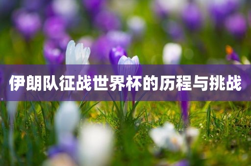 伊朗队征战世界杯的历程与挑战