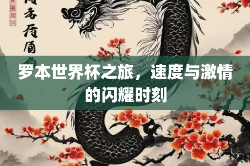罗本世界杯之旅，速度与激情的闪耀时刻