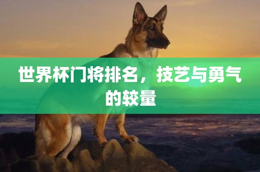 世界杯门将排名，技艺与勇气的较量