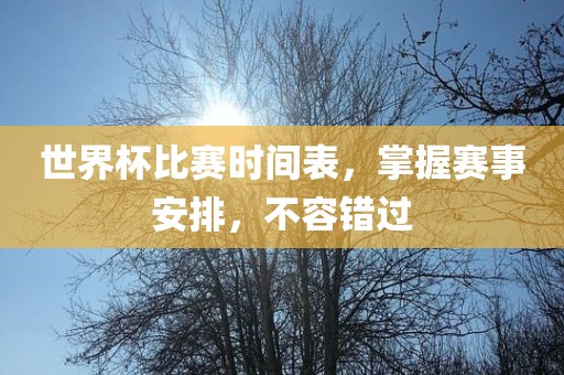 世界杯比赛时间表，掌握赛事安排，不容错过