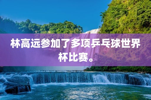 林高远参加了多项乒乓球世界杯比赛。