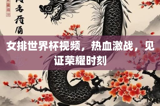 女排世界杯视频，热血激战，见证荣耀时刻