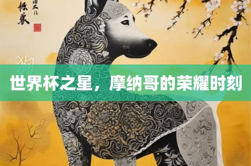 世界杯之星，摩纳哥的荣耀时刻