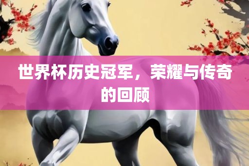 世界杯历史冠军，荣耀与传奇的回顾