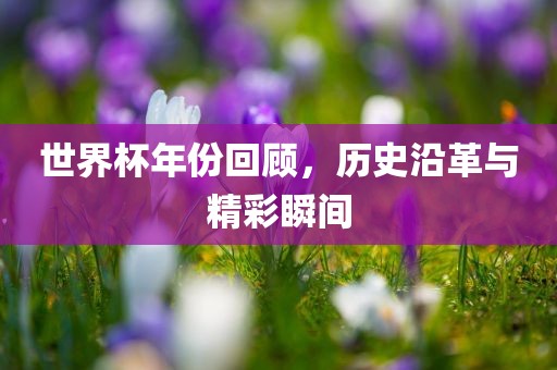 世界杯年份回顾，历史沿革与精彩瞬间