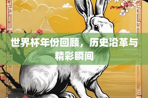 世界杯年份回顾，历史沿革与精彩瞬间