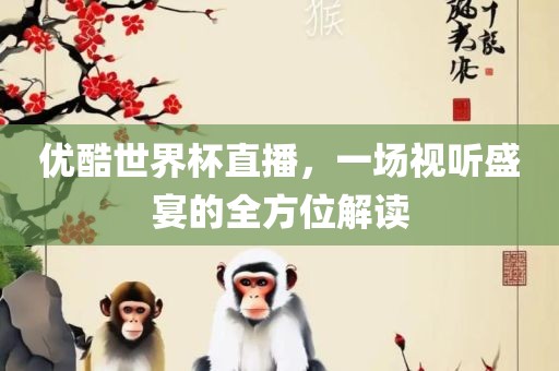 优酷世界杯直播，一场视听盛宴的全方位解读
