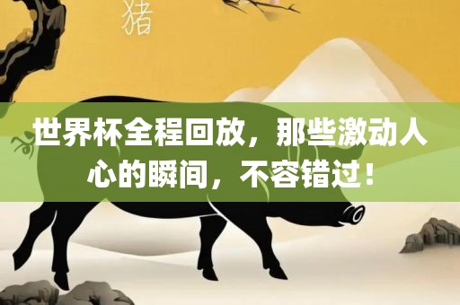 世界杯全程回放，那些激动人心的瞬间，不容错过！