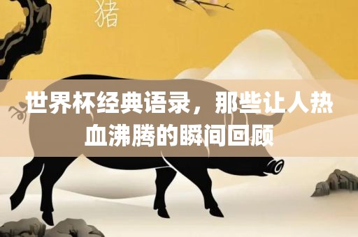 世界杯经典语录，那些让人热血沸腾的瞬间回顾广州鸿业环保设备有限公司