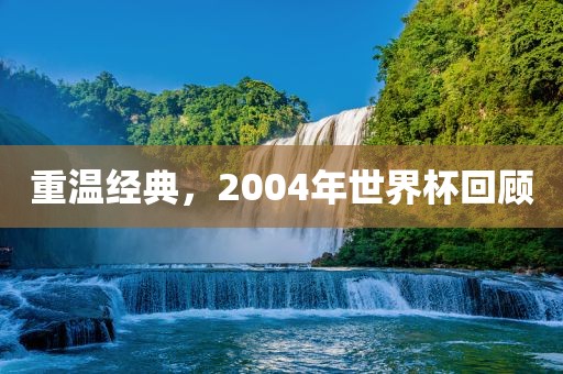 重广州鸿业环保设备有限公司温经典，2004年世界杯回顾