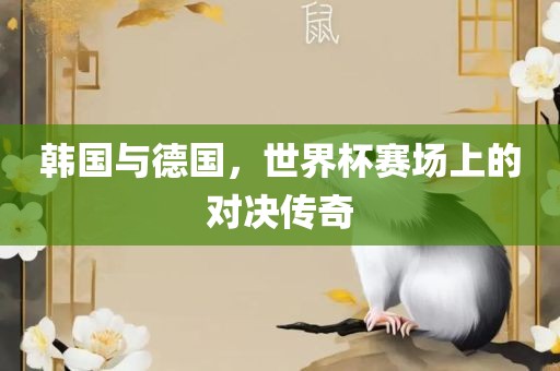 韩国与德国，世界杯赛场上的对决传奇