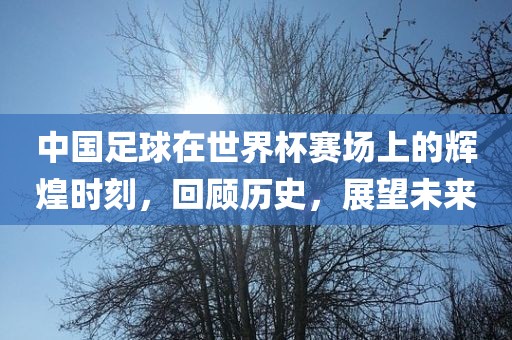 中国足球在世界杯赛场上的辉煌时刻，回顾历史，展望未来