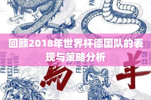 回顾2018年世界杯德国队的表现与策略分析