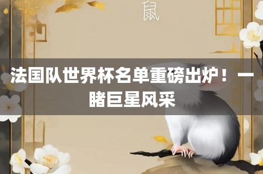 法国队世界杯名单重磅出炉！一睹巨星风采