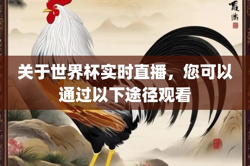关于世界杯实时直播，您可以通过以下途径观看