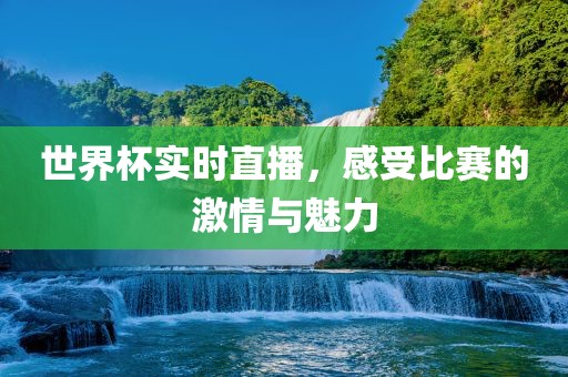 世界杯实时直播，感受比赛的激情与魅力