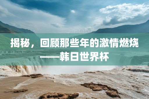 揭秘，回顾那些年的激情燃烧——韩日世界杯