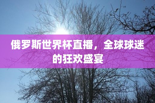 俄罗斯世界杯直播，全球球迷的狂欢盛宴