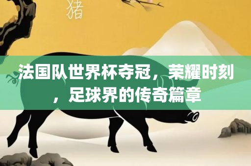 法国队世界杯夺冠，荣耀时刻，足球界的传奇篇章