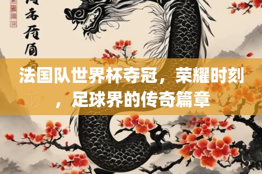 法国队世界杯夺冠，荣耀时刻，足球界的传奇篇章