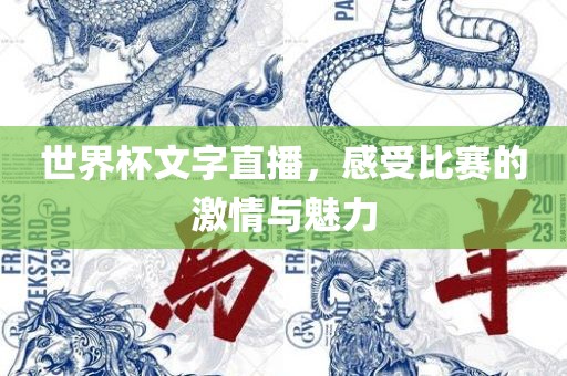 世界杯文字直播，感受比赛的激情与魅力