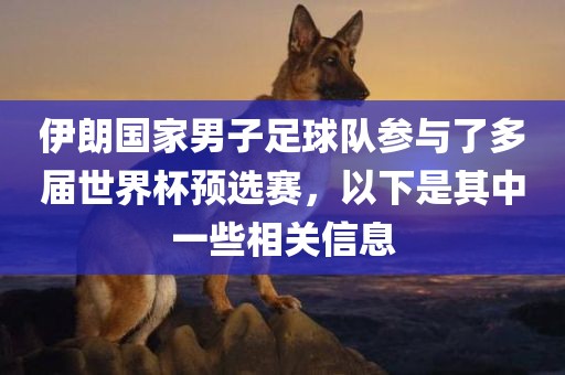 伊朗国家男子足球队参与了多届世界杯预选赛，以下是其中一些相关信息