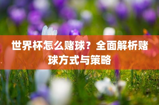 世界杯怎么赌球？全面解析赌球方式与策略