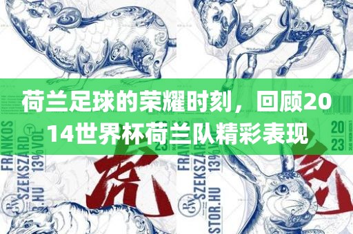 荷兰足球的荣耀时刻，回顾2014世界杯荷兰队精彩表现