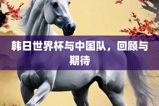 韩日世界杯与中国队，回顾与期待