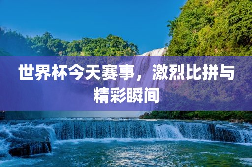 世界杯今天赛事，激烈比拼与精彩瞬间